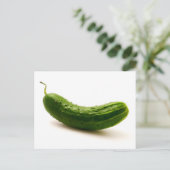 キュウリ ポストカード (スタンド正面)