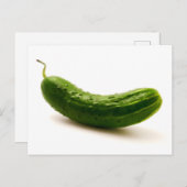 キュウリ ポストカード (正面/裏面)