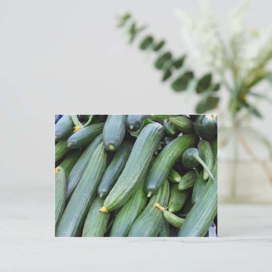 キュウリ ポストカード (スタンド正面)