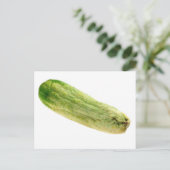 キュウリ ポストカード (スタンド正面)