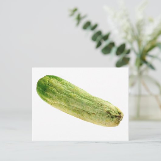 キュウリ ポストカード (スタンド正面)