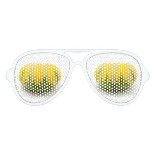 キュシャウスカッシュ アビエーターサングラス (正面)