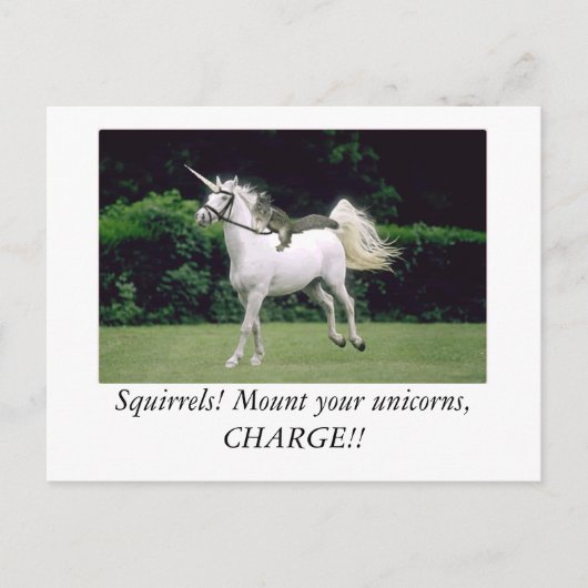 キュッ専攻のバート・アコーン・くるみ割り ポストカード (正面)