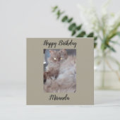 キュドリーキャットフラット誕生日カード カード (スタンド正面)