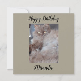 キュドリーキャットフラット誕生日カード カード