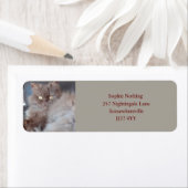 キュドリーキャット差出人住所ラベル ラベル (インサイチュ)