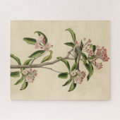 キュビエのキングレット（キュビエのレギュラス）オードボンバード ジグソーパズル (横)