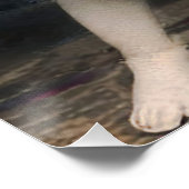 キュピ怒ッド ポスター (コーナー)