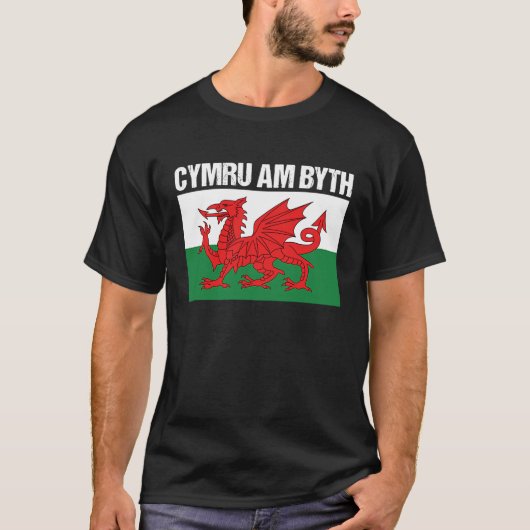 キュムラアムバイスウェールズ国旗のウェールズ Tシャツ (正面)
