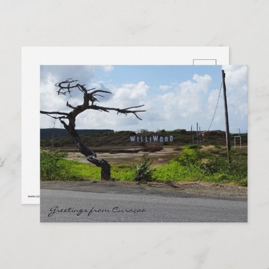 キュラソーからの挨拶(カスタマイズ可能) ポストカード (正面/裏面)