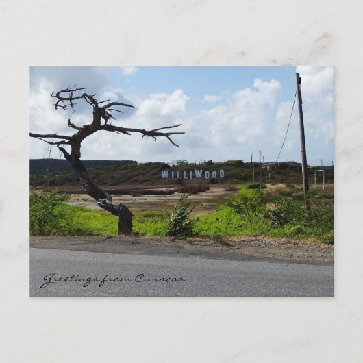 キュラソーからの挨拶(カスタマイズ可能) ポストカード (正面)