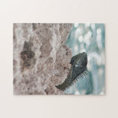 キュラソー – グリーンイグアナ – 動物 ジグソーパズル (横)