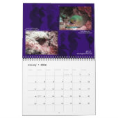 キュラソー・メモリーズ・カレンダー カレンダー (1月 2026)