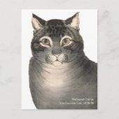 キュリエ&イヴ猫かわいいビクトリアンファインアート ポストカード (正面)