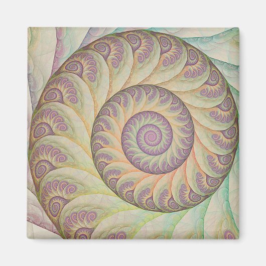 キュリオッサーとキュルーサー マグネット (正面)