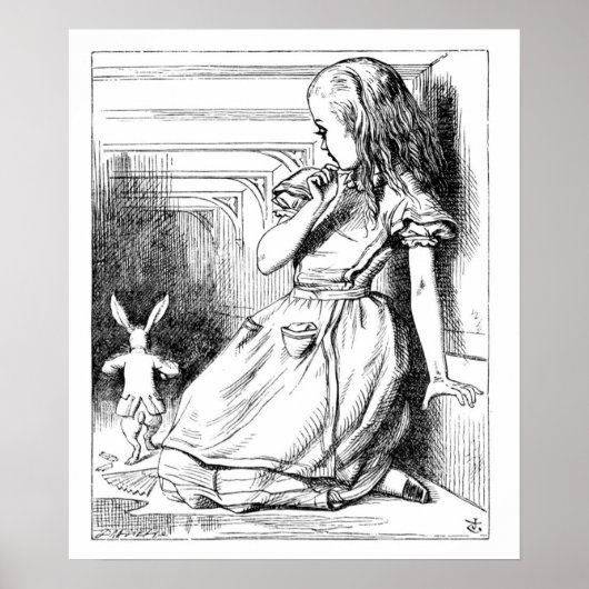 キュリオースとキュリオース！ ポスター (正面)