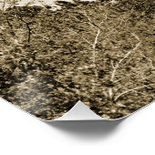 キュリットックライトハウス ポスター (コーナー)