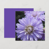 キュレネ (正面/裏面)