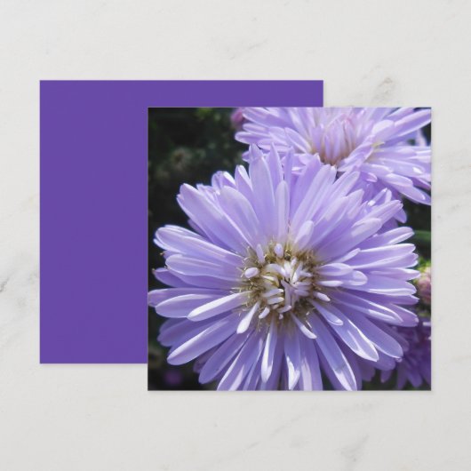 キュレネ (正面/裏面)