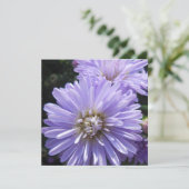 キュレネ (スタンド正面)