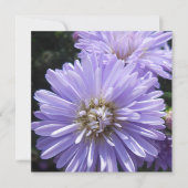 キュレネ (正面)