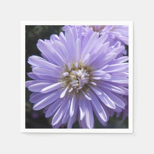 キュレネ スタンダードカクテルナプキン (正面)