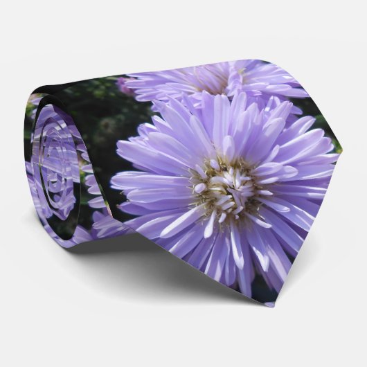 キュレネ ネクタイ (ロール)