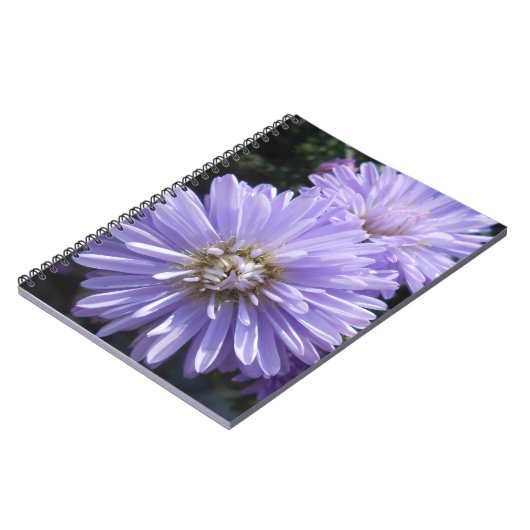 キュレネ ノートブック (左側)