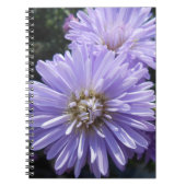 キュレネ ノートブック (正面)