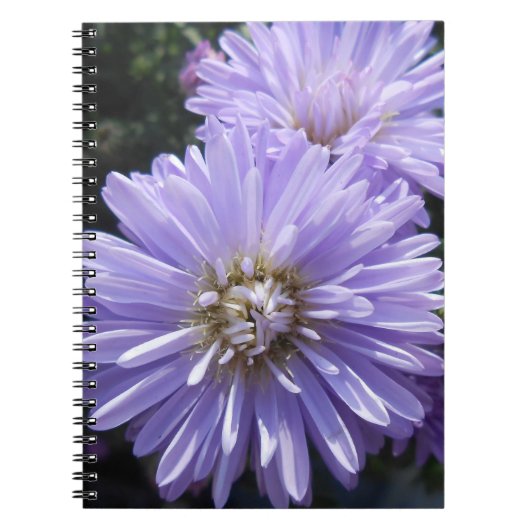 キュレネ ノートブック (正面)