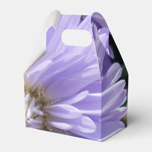 キュレネ フェイバーボックス (正面サイド)