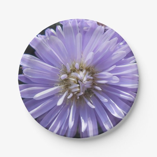 キュレネ ペーパープレート (正面)