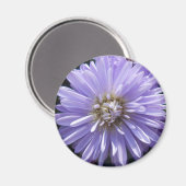 キュレネ マグネット (正面/裏面)