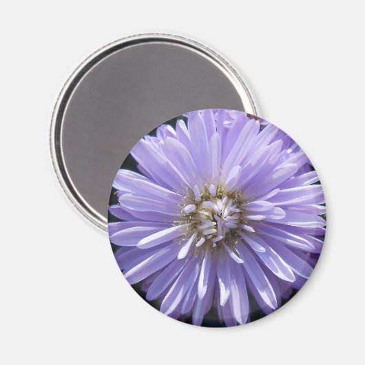 キュレネ マグネット (正面/裏面)