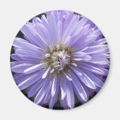 キュレネ マグネット (正面)