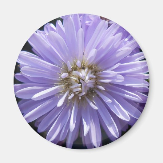 キュレネ マグネット (正面)