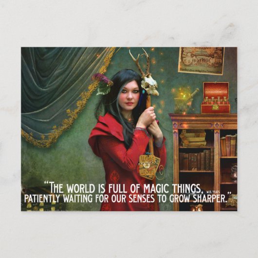 キュレーター葉書 ポストカード (正面)