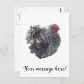 キューテストブルーフリズルコチンバンタムオスターチキン ポストカード (正面/裏面)