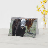 キュートおめでとうございます獣医 – Ranch Farm DVM カード (黄色い花)