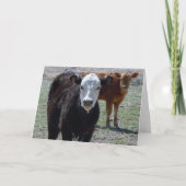 キュートおめでとうございます獣医 – Ranch Farm DVM カード (正面)