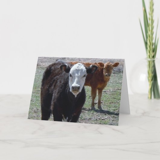 キュートおめでとうございます獣医 – Ranch Farm DVM カード (正面)