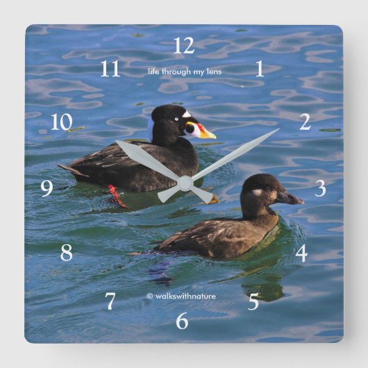 キュートおもしろいなサーフスコーターアヒルが桟橋で泳ぐ スクエア壁時計 (正面)