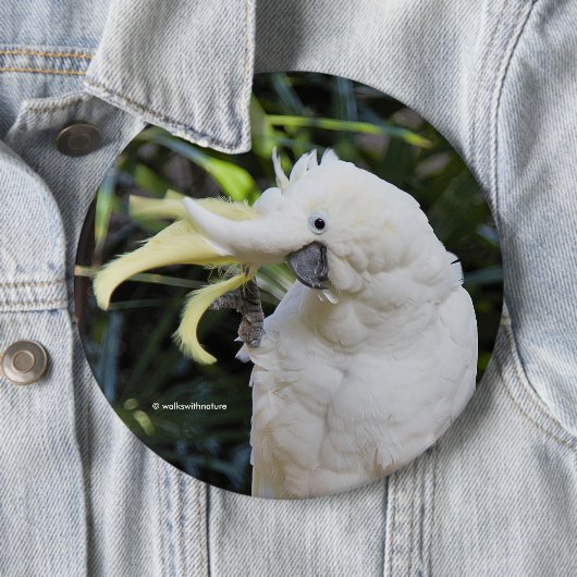 キュートおもしろいイオウ紋付きコカトゥー波こんにちは 缶バッジ (インサイチュ)