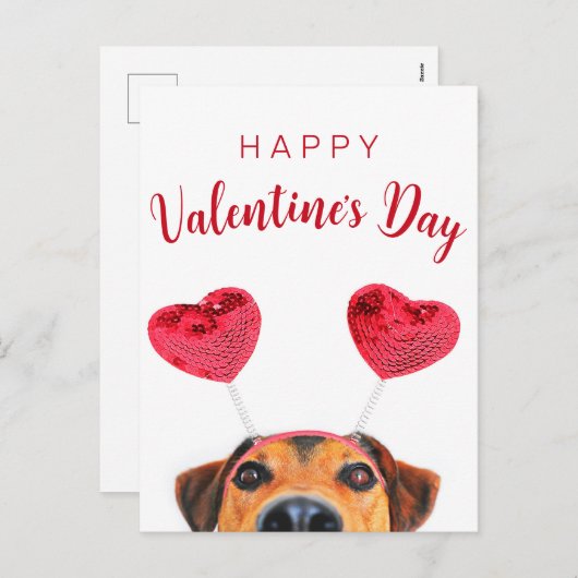 キュートおもしろいバレンタインデー犬ハートヘッドバンド シーズンポストカード (正面/裏面)