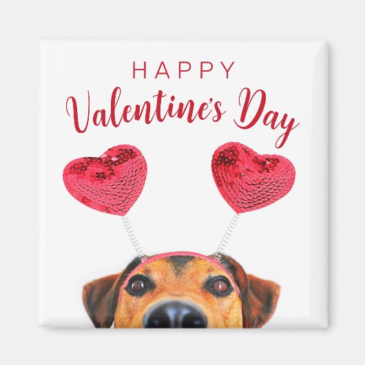 キュートおもしろいバレンタインデー犬ハートヘッドバンド マグネット (正面)