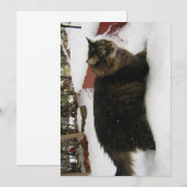 キュートおもしろいメイヌクーンキティキャットコールドトークス (正面/裏面)