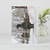 キュートおもしろいメイヌクーン雪を降ろす (スタンド正面)