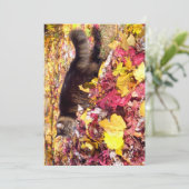 キュートおもしろいメインCoon The Leaf Inspection (スタンド正面)