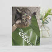 キュートおもしろいメーンクーンキティキャットザ・冒険家 (スタンド正面)