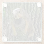 キュートおもしろいレイジーリスオンツリーブランチ ガラスコースター (裏面)